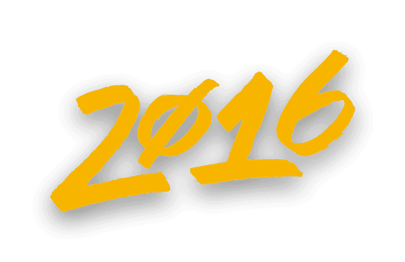 2016 year image